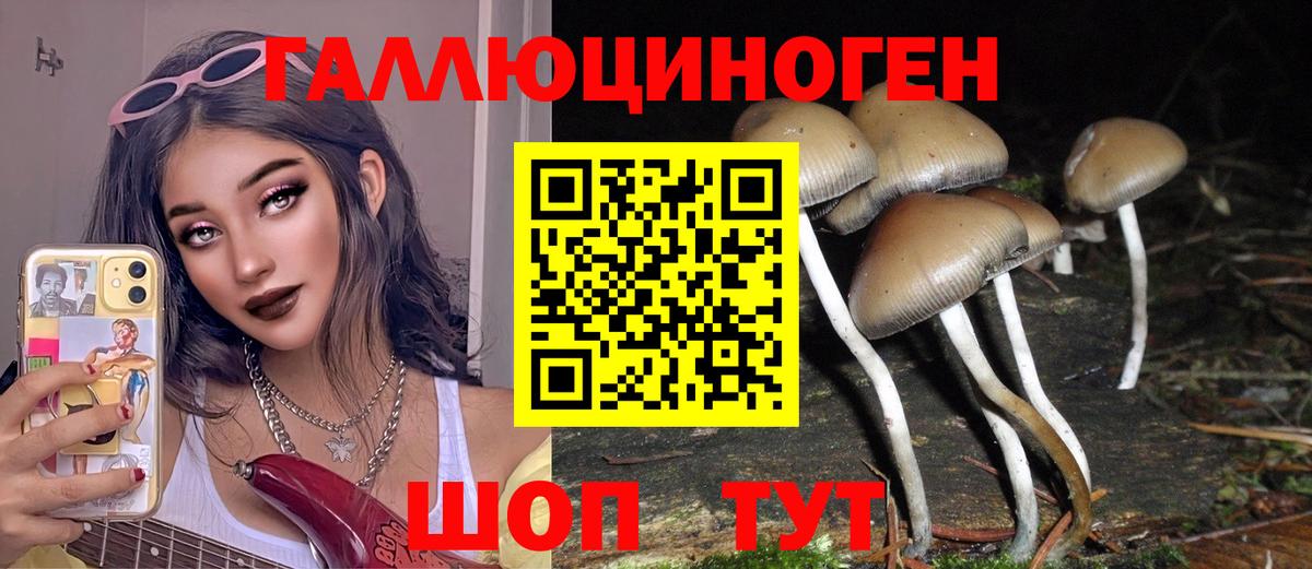 Галлюциногенные грибы ЛСД Гуково