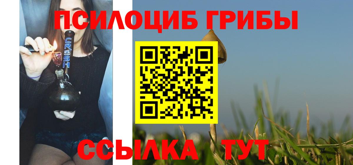 Гуково  Псилоцибиновые грибы Psilocybine cubensis  Вход с VPN  Псилоцибиновые грибы Psilocybine cubensis 